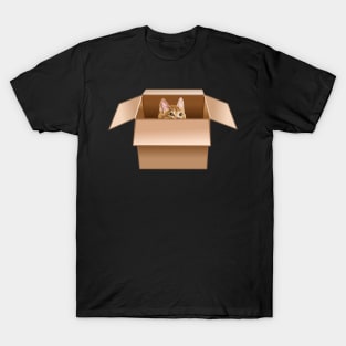 Ginger Kitten Peeking from Cardboard Box T-Shirt